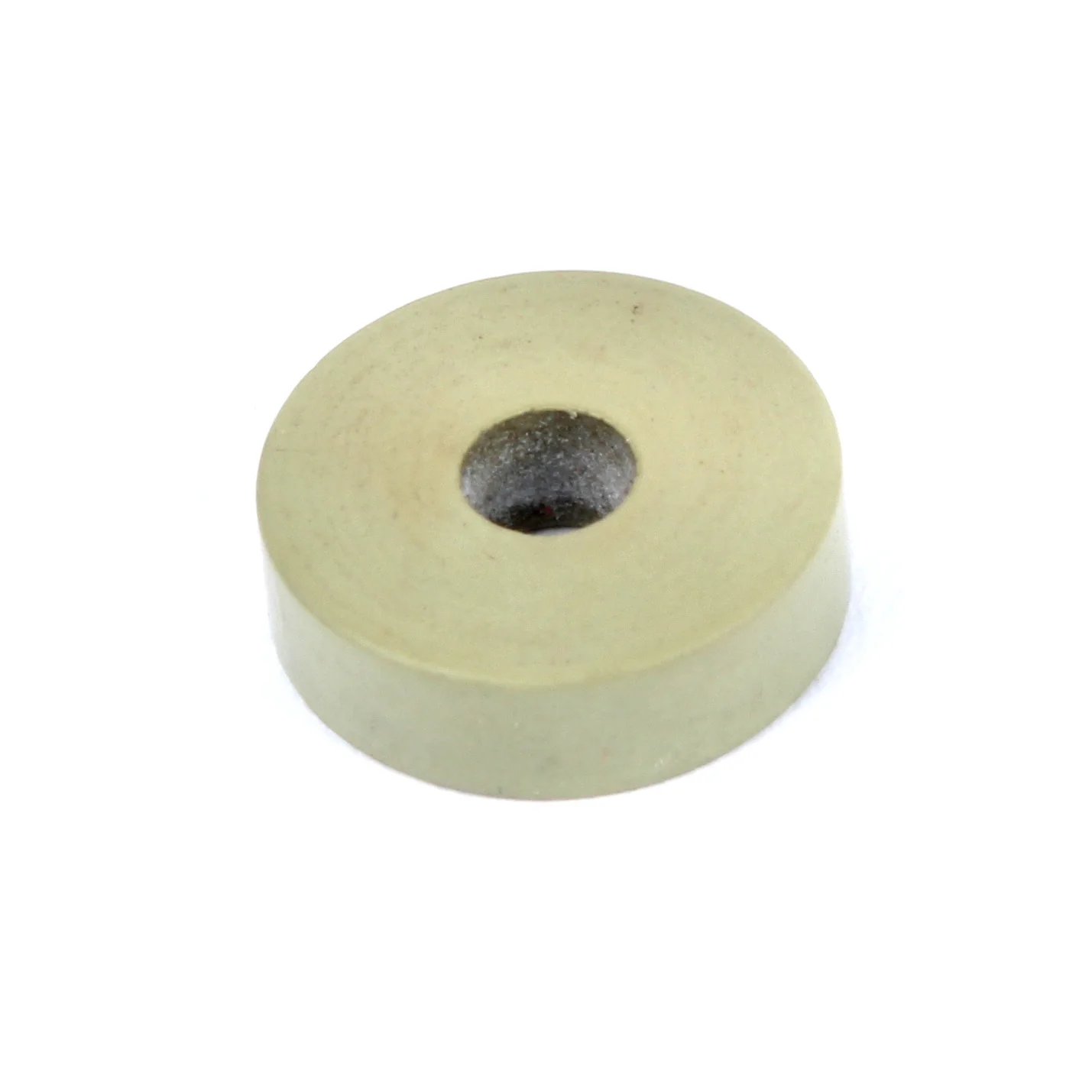 Steam Gasket | Rancilio RA-36302002