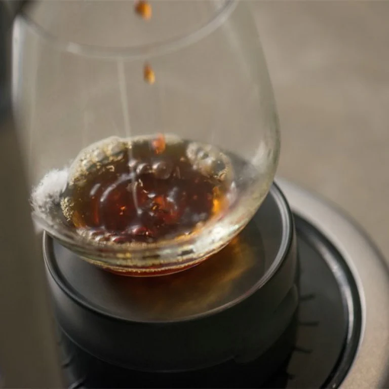 The Breville Precision Brewer® Glass - Image 7