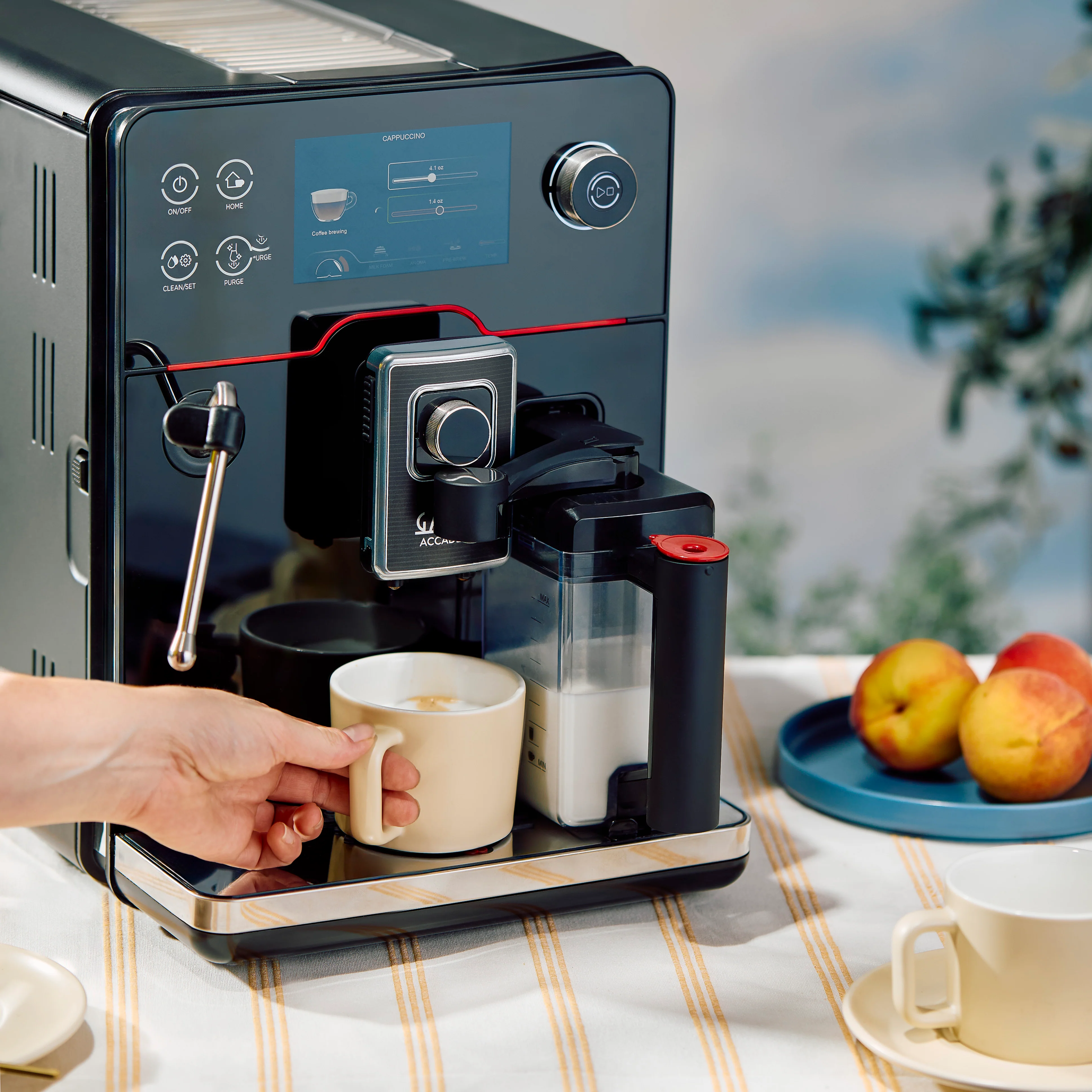 Gaggia Accademia - Image 3