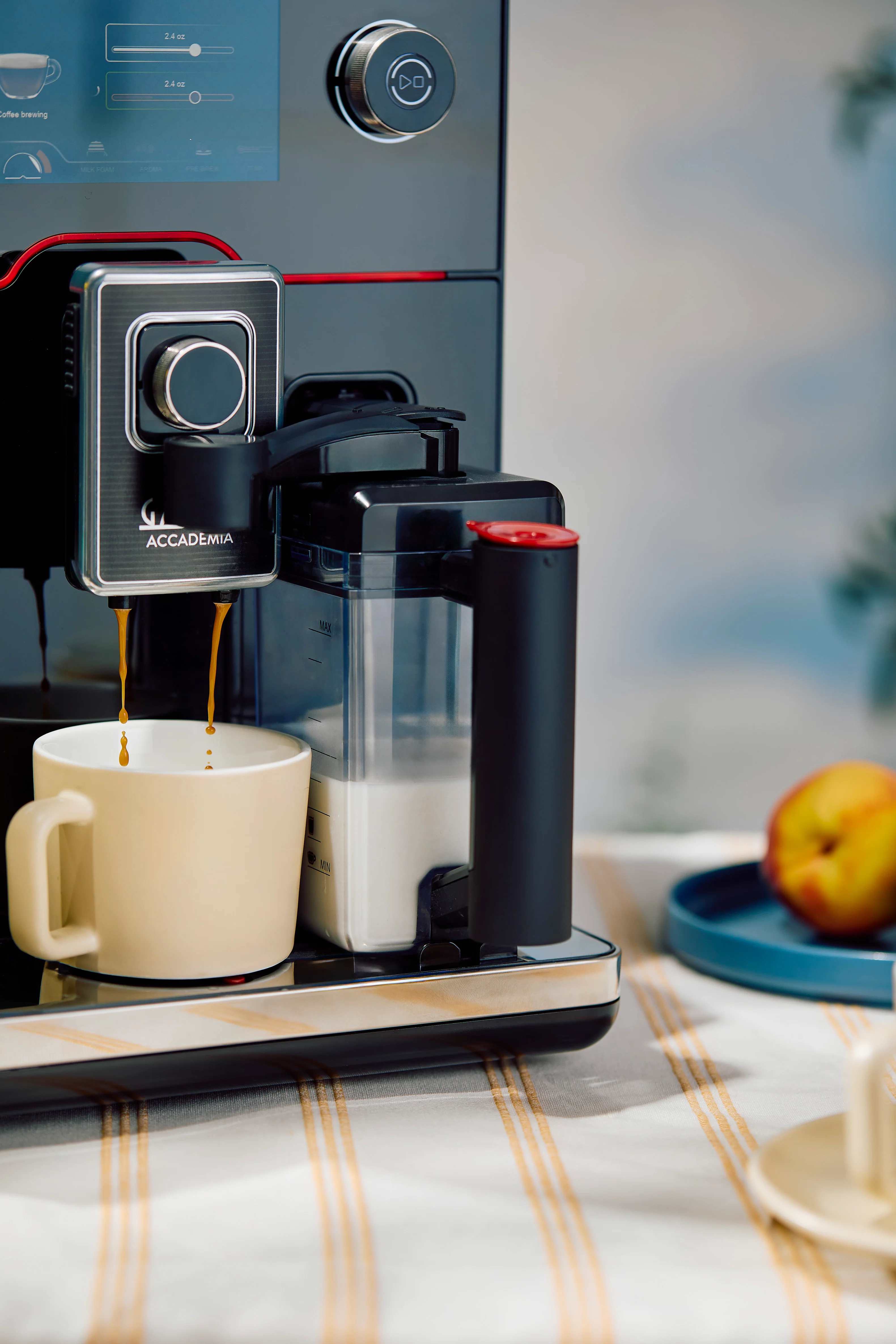 Gaggia Accademia - Image 4