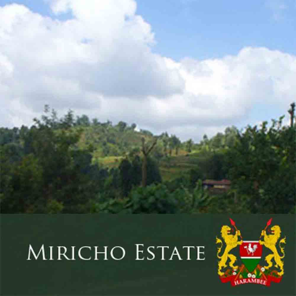 J Martinez Kenya AA Miricho Estate Medium Roast - Image 2