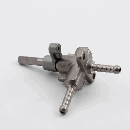 Steam valve assembly with Cam and Magnet